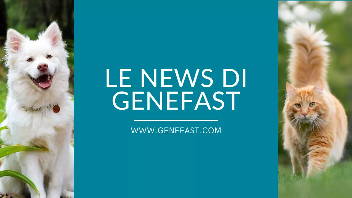 Le news di Genefast